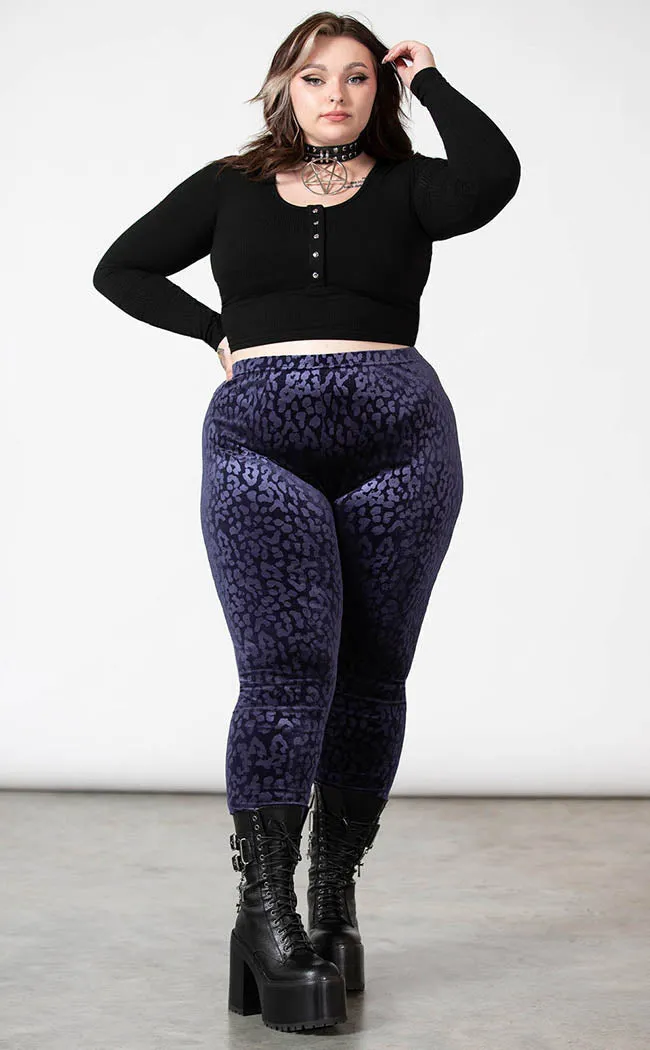 Caturday Leggings | Plum [Plus-Size]