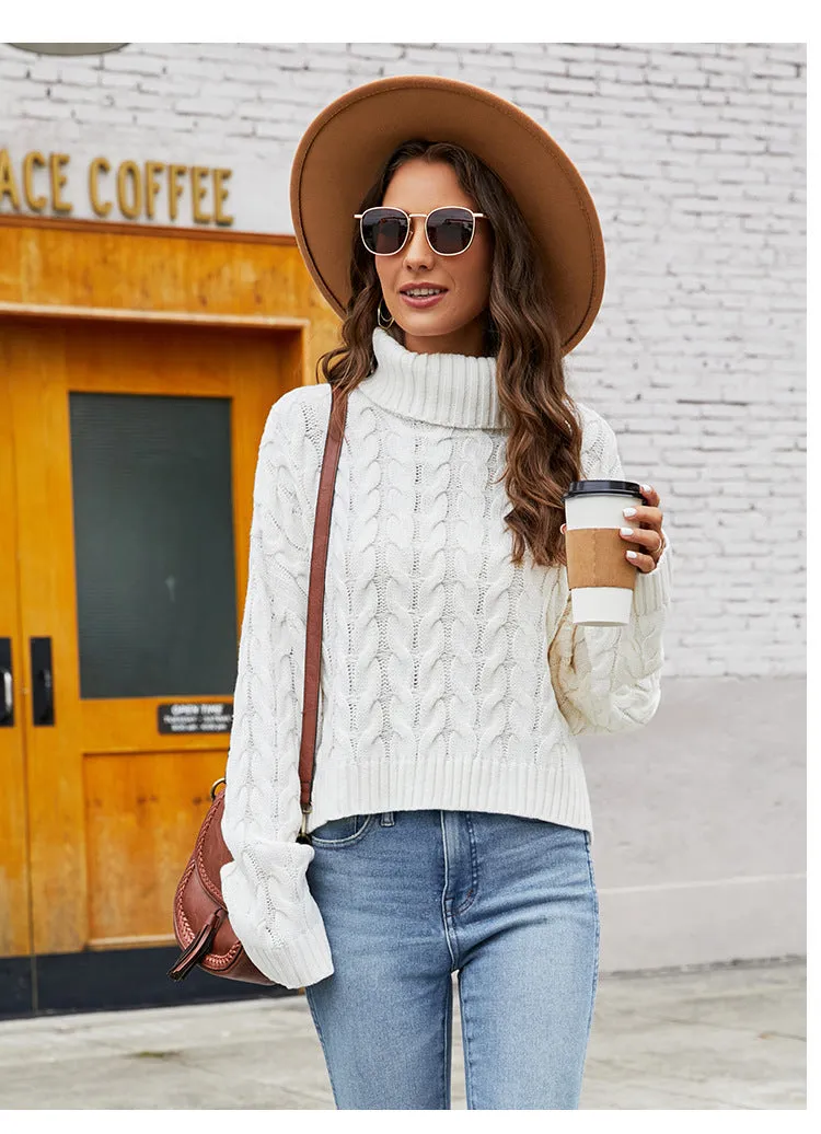 IvyShape | Chunky Knit Turtleneck Casual Sweater