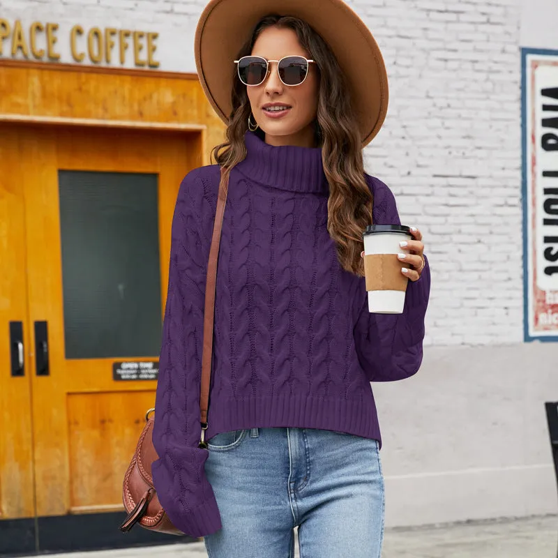 IvyShape | Chunky Knit Turtleneck Casual Sweater