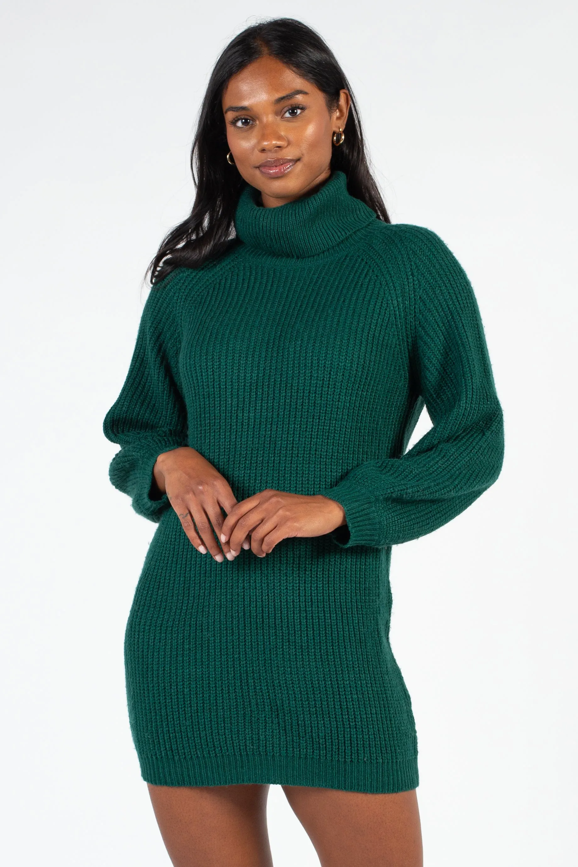 Juliet Turtleneck Sweater Dress