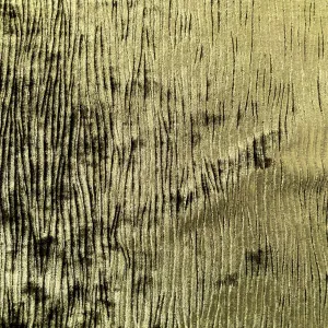 Olive Green Corduroy Stretch Velvet Fabric