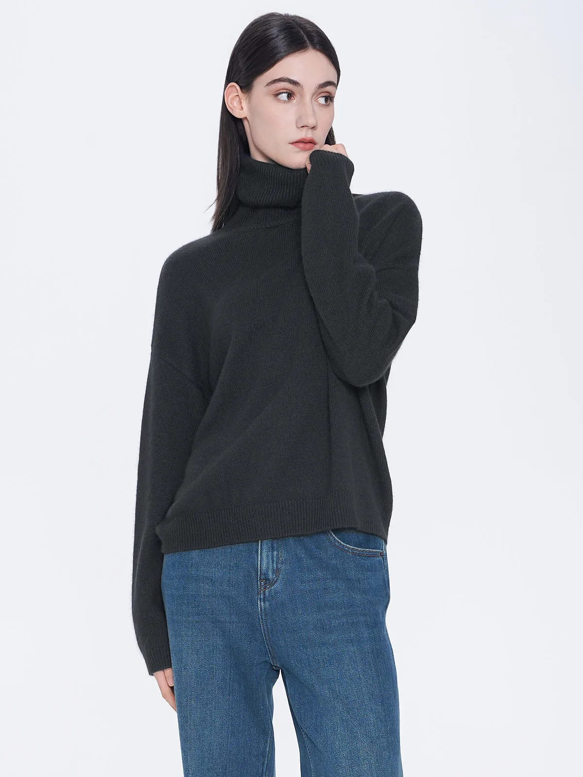 Pullover Turtleneck Sweater