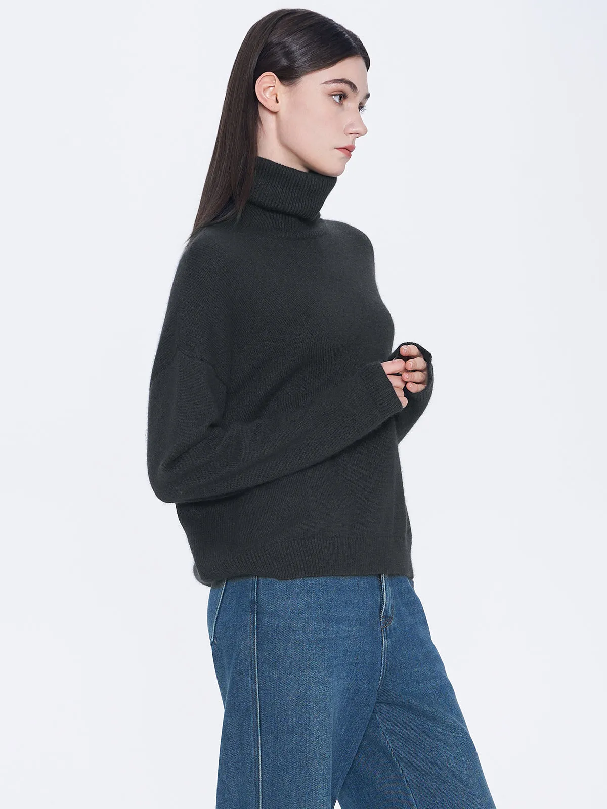 Pullover Turtleneck Sweater