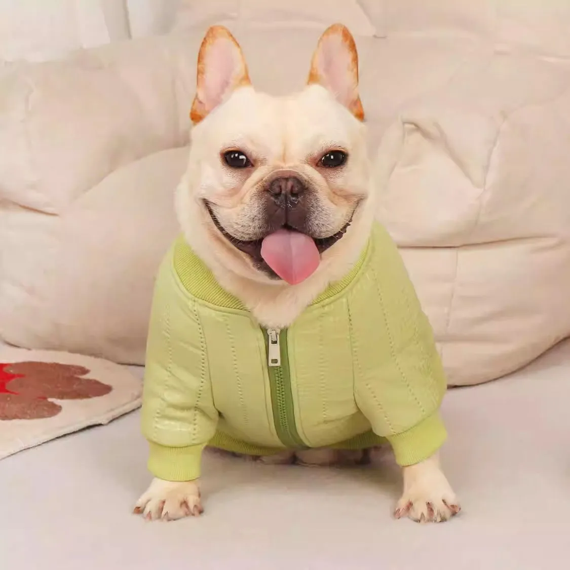 Quilted Cotton Frenchie Jacket - Warm and Stylish Winter Coat for French Bulldogs