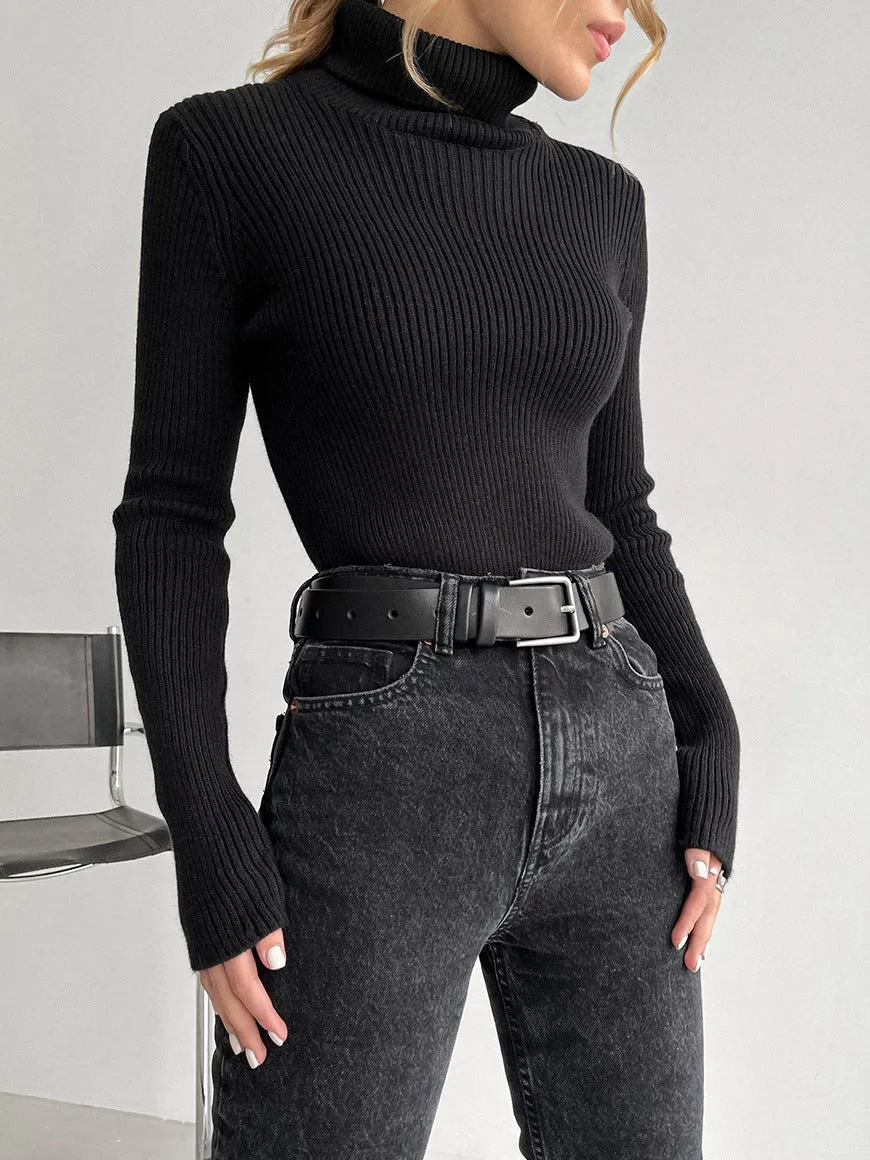 Solid Color Turtleneck Bodycon Sweater