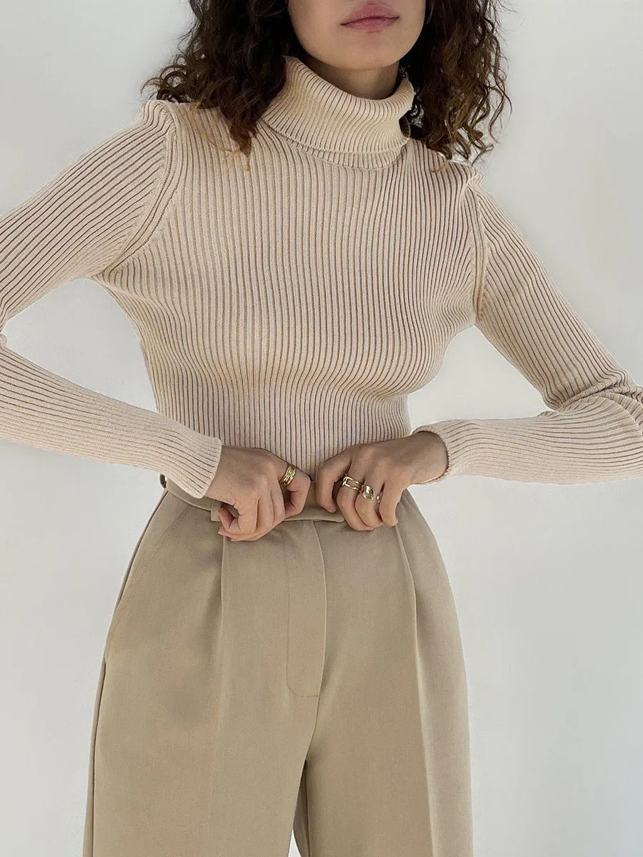 Solid Color Turtleneck Bodycon Sweater