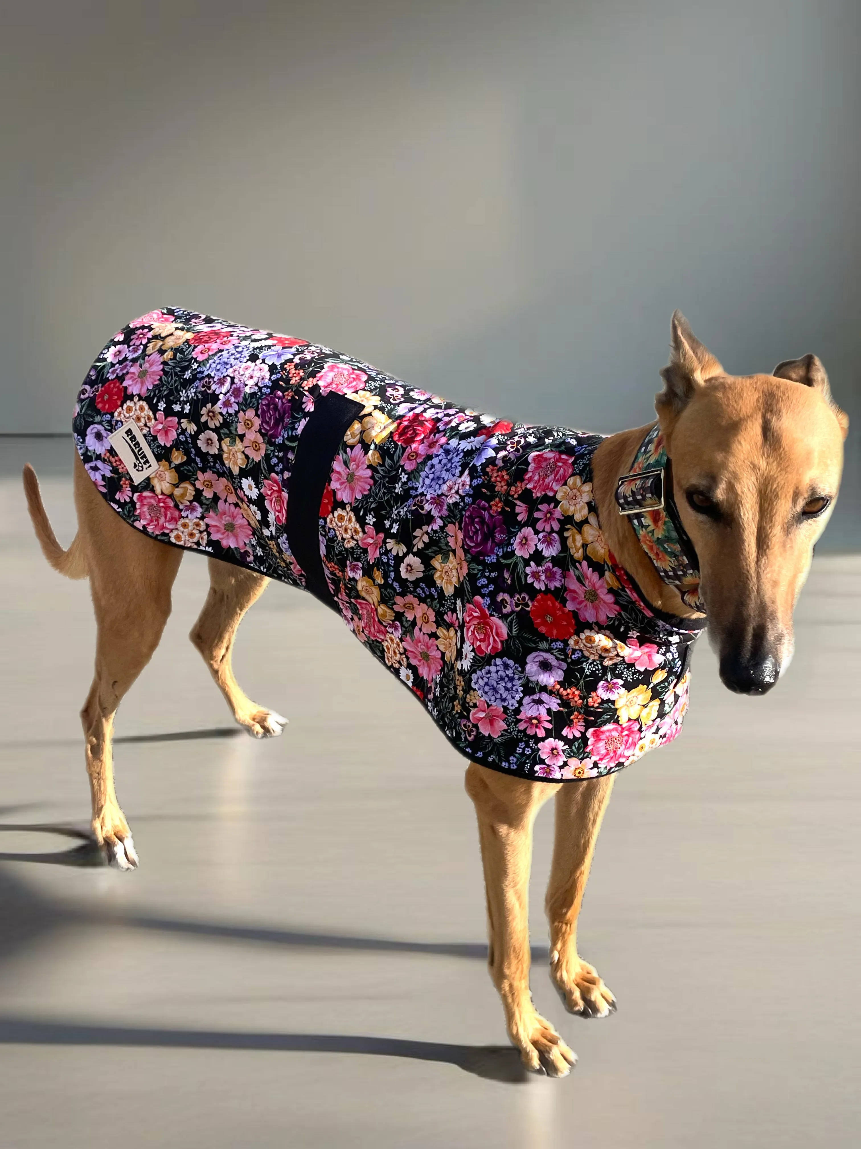 Spring/Autumn range Greyhound floral print cotton & fleece washable