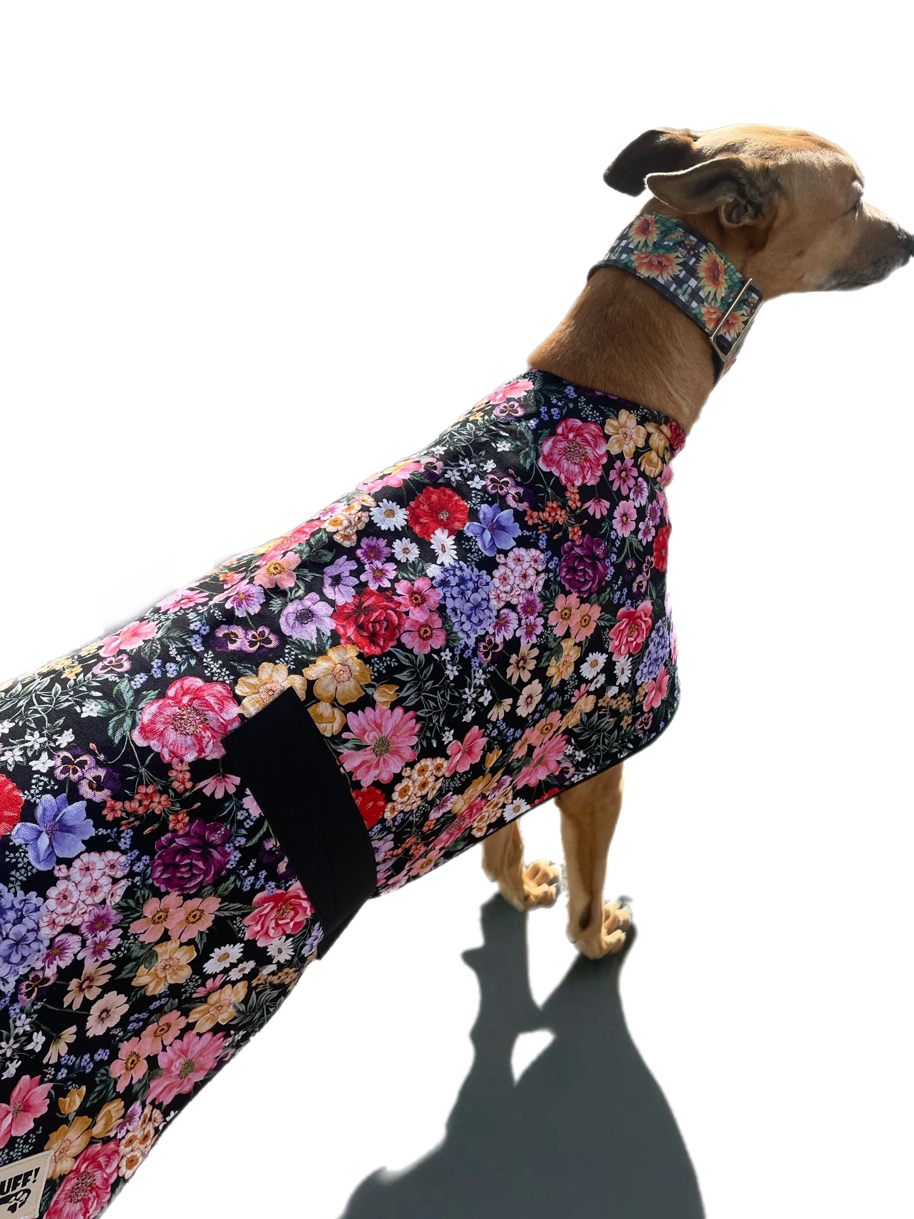 Spring/Autumn range Greyhound floral print cotton & fleece washable