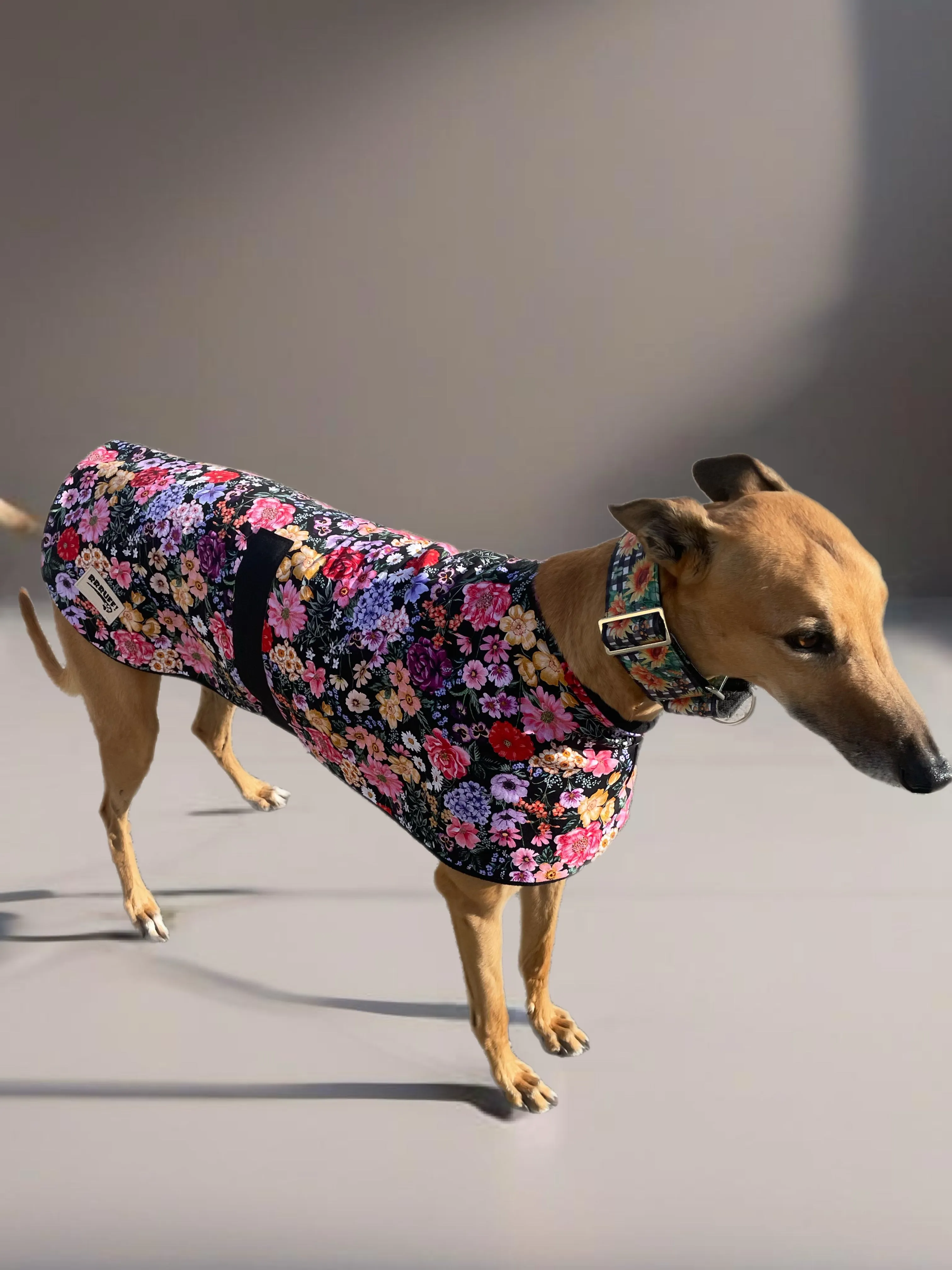 Spring/Autumn range Greyhound floral print cotton & fleece washable