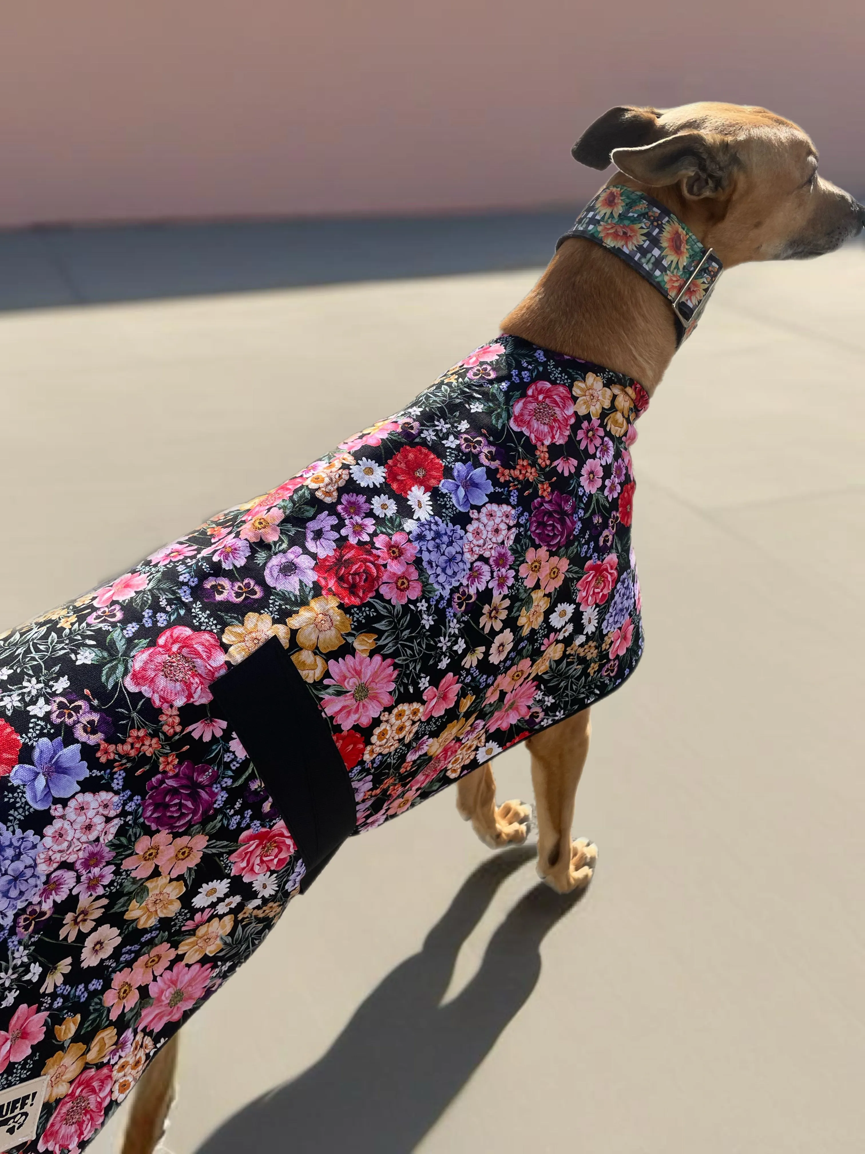 Spring/Autumn range Greyhound floral print cotton & fleece washable