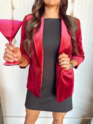 Vada Velvet Blazer