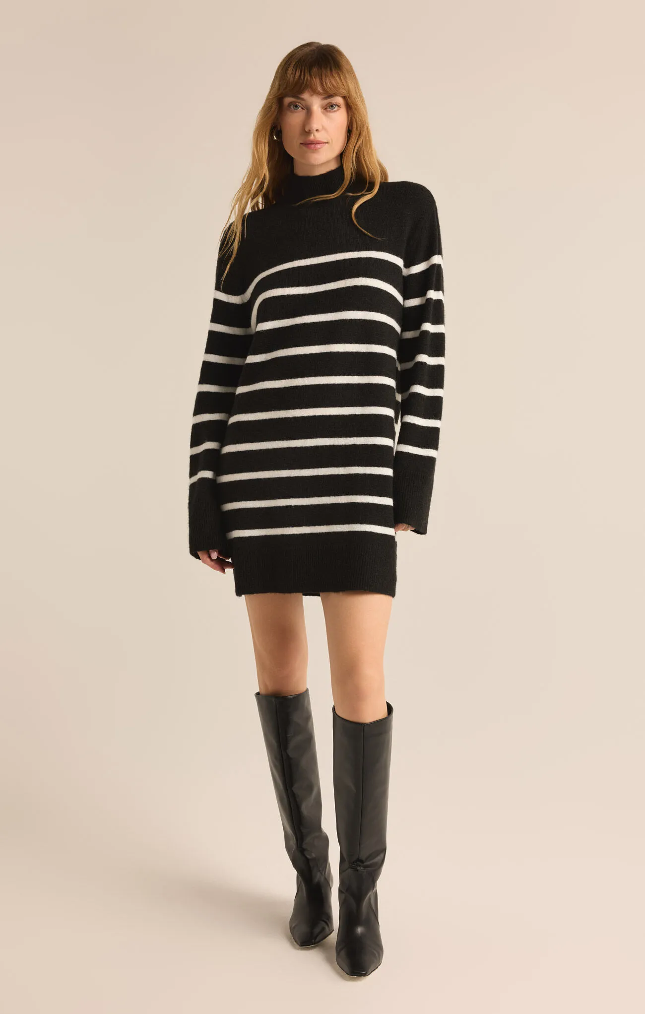 [Z Supply] Fin Stripe Sweater Dress