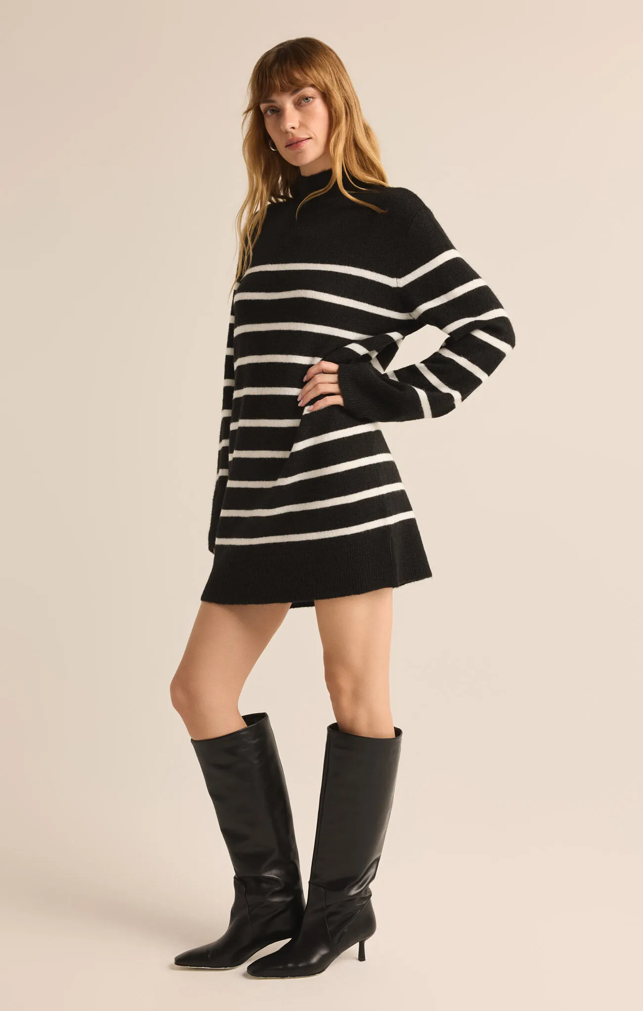 [Z Supply] Fin Stripe Sweater Dress